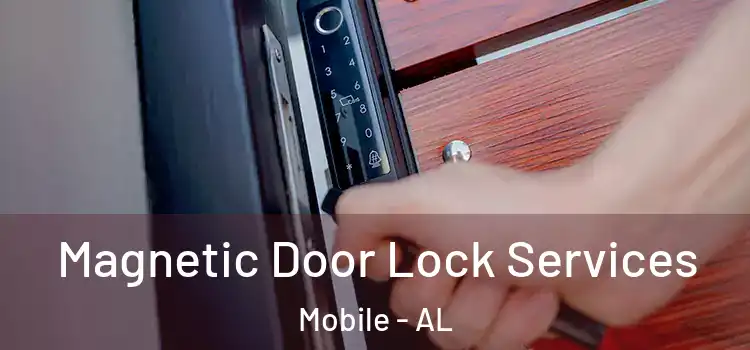 Magnetic Door Lock Services Mobile - AL